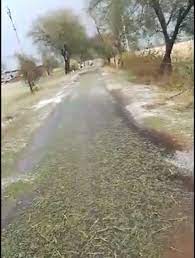 bhopal, Heavy rains ,damage crops