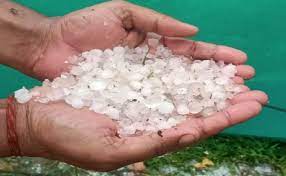 bhopal, Hail fell,Mandsaur 