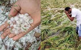 bhopal, Rain continues,consecutive day