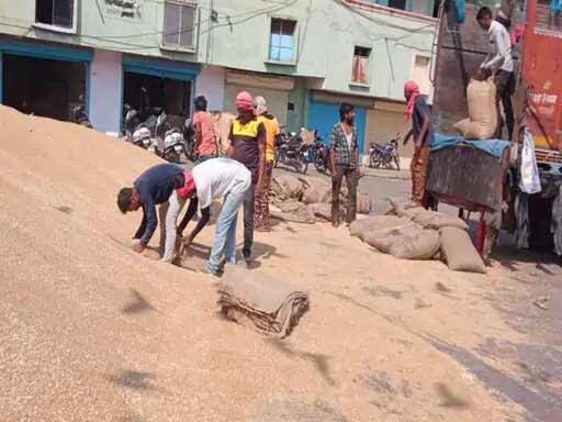 किसान समर्थन मूल्य पर बेच सकेंगे अपनी फसल 