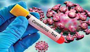 bhopal, New cases , corona, MP