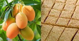 bhopal,Sundarja mango ,Rewa , Gajak of Morena , GI tag