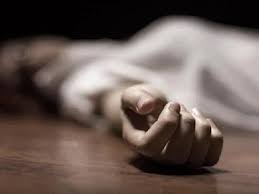 ujjain, Drunk injured mother, committed suicide