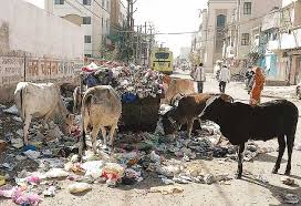 स्वच्छता अभियान  कोलार 