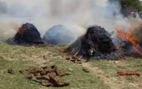 morena, Morena shootout, security