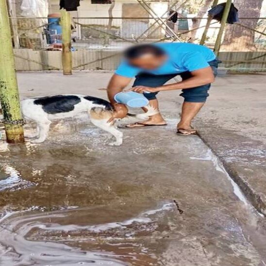  एसएएफ के जवान हर रोज इसी तरह के घरेलू काम करते दिखते हैं