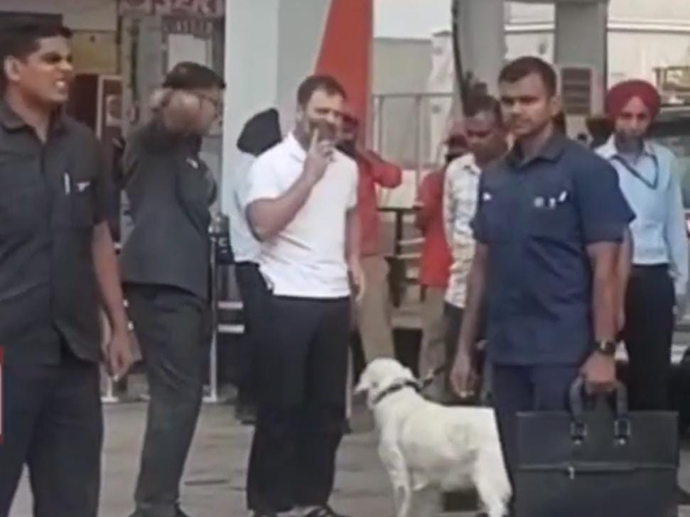 राहुल गाँधी,शाहाबाद 