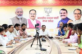 bhopal,State BJP President , Khajuraho Lok Sabha constituency