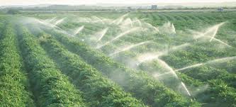 सिंचाई के लिये 10 घंटे बिजली 