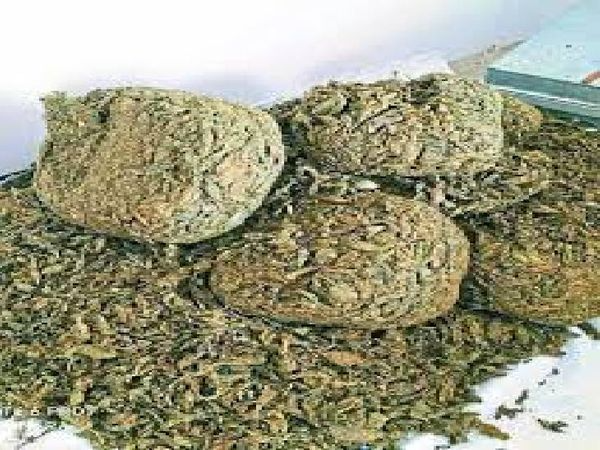 10 वर्ष के कठोर कारावास और एक लाख रुपए जुर्माने की सजा