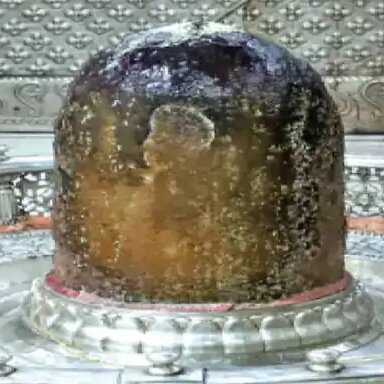 गर्भगृह में लोगों का प्रवेश प्रतिबंधित करने की सलाह दी है