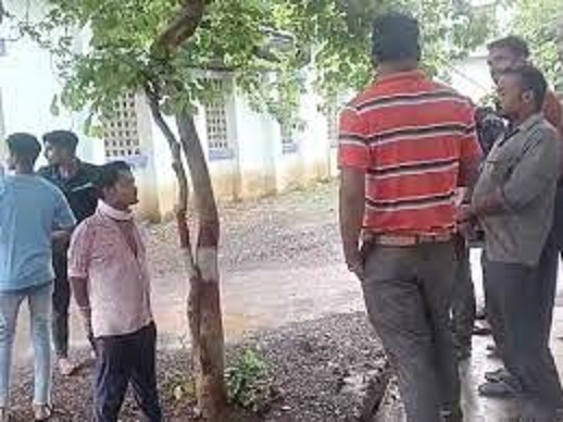 ashoknagar, Youth,pluck berries