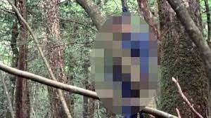 rajgarh, Man committed suicide ,tamarind tree