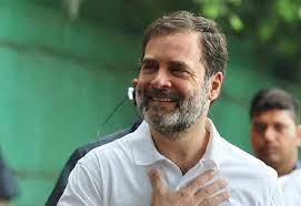new delhi, Rahul Gandhi ,Congress