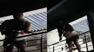 indore, Guard opened fire, dog walking 