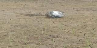 shivpuri, Shiny shells fell,Shivpuri district