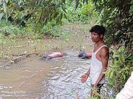 katni, Dead bodies, river bank