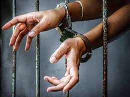 bhopal, Madhya Pradesh , hunter Pardhi