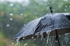 bhopal, Madhya Pradesh, Quota of normal rain 