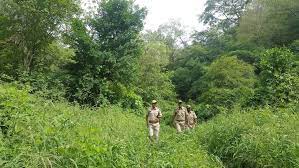 bhopal, Dependents , martyred forest workers 