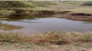 sehdol, Teenager dies , well