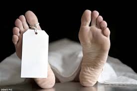 morena, Laborer dies ,working in factory