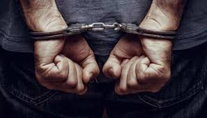 rajgarh, Accused arrested, live cartridges