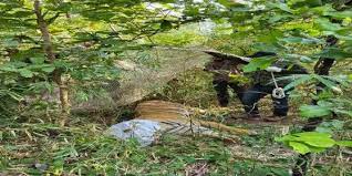 seoni, Man-eater tiger ,Van Vihar