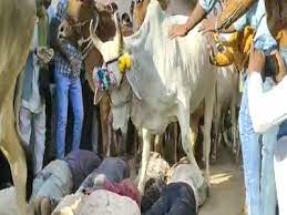ujjain, Govardhan Puja, people