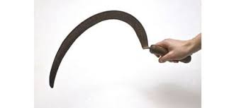 rajgarh, Brother-in-law,trivial matter