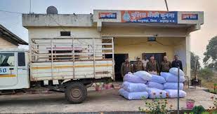 anuppur, ganja seized , pickup vehicle