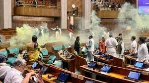 new delhi, Two persons jumped,Lok Sabha