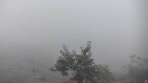 bhopal, region shivered , cold winds