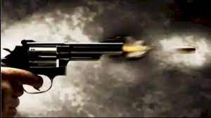 rajgarh, One shot dead , cow entered