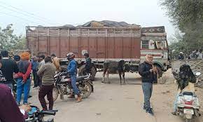 morena, Bike riding , with truck