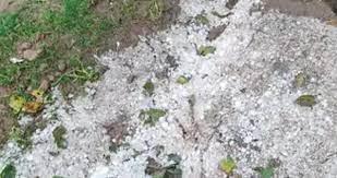 bhopal, Rain alert, Panna