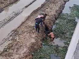 sagar, Girl jumped ,elevated corridor