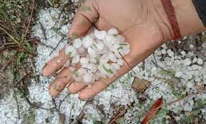 bhopal, Hail fell , Chhindwara