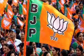 new delhi, BJP ,election manifesto committee