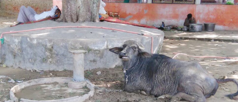 कोलार में हैंडपंप ख़राब 