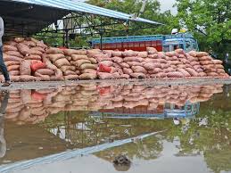  प्याज खरीदी 