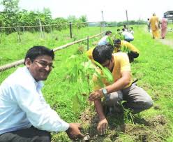 kolar वृक्षारोपण 
