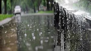 bhopal, Chance of heavy rain,15 districts