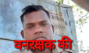 singroli, Forest guard, brutally murdered