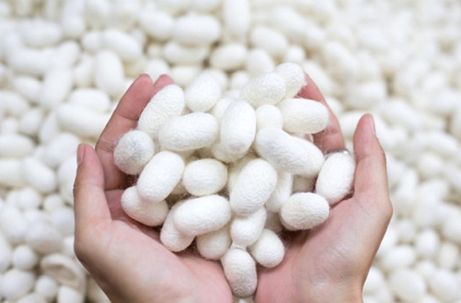 bhopal,Medicines , from silk