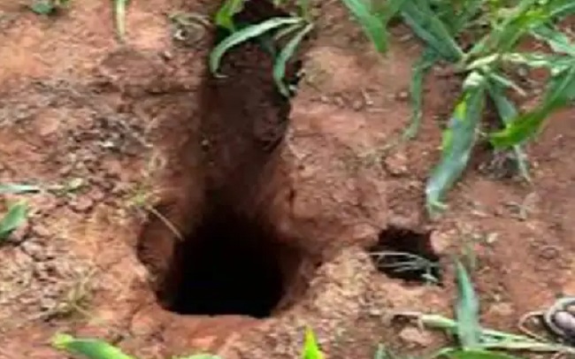 bhopal, FIR will be lodged ,open borewell