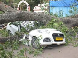 ujjain, Tree fell  ,Sandipani Ashram