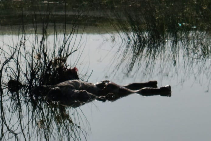 rajgarh,Body of unknown person , Parvati river