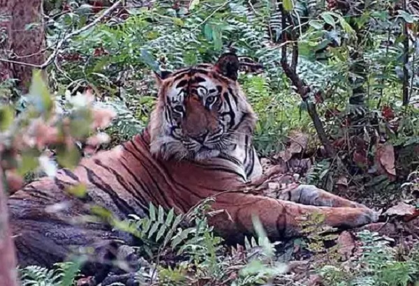 bhopal, National Park , monsoon break
