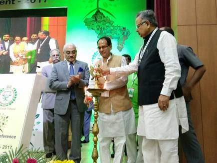 पर्यावरण एनजीटी